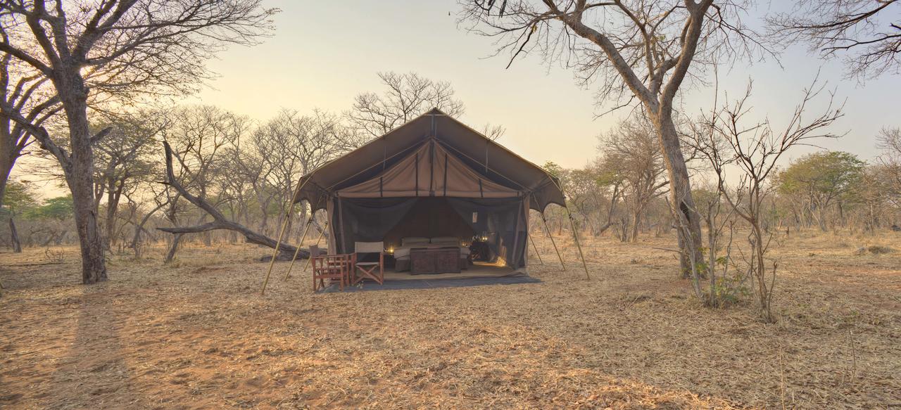 Chobe_under_canvasTent3