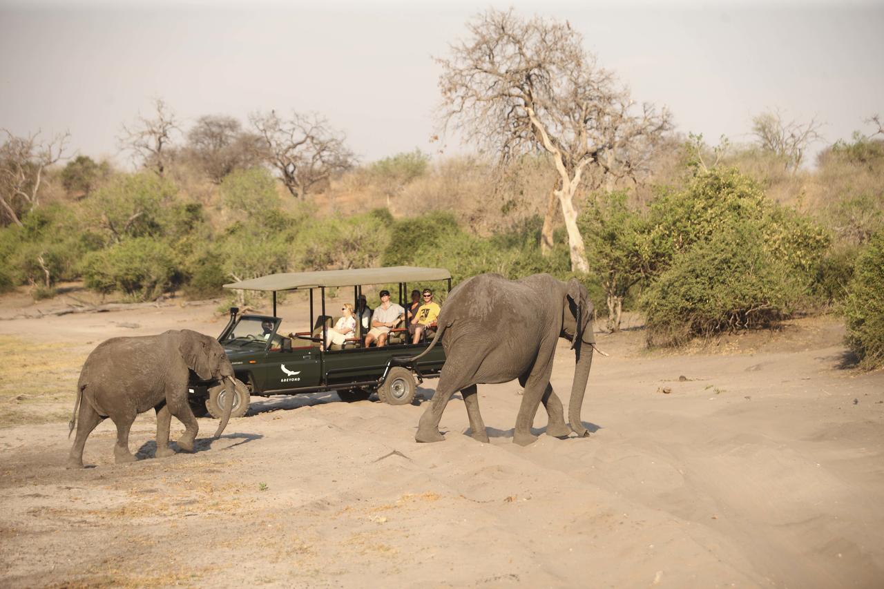 Chobe_under_canvas_gamedrive5