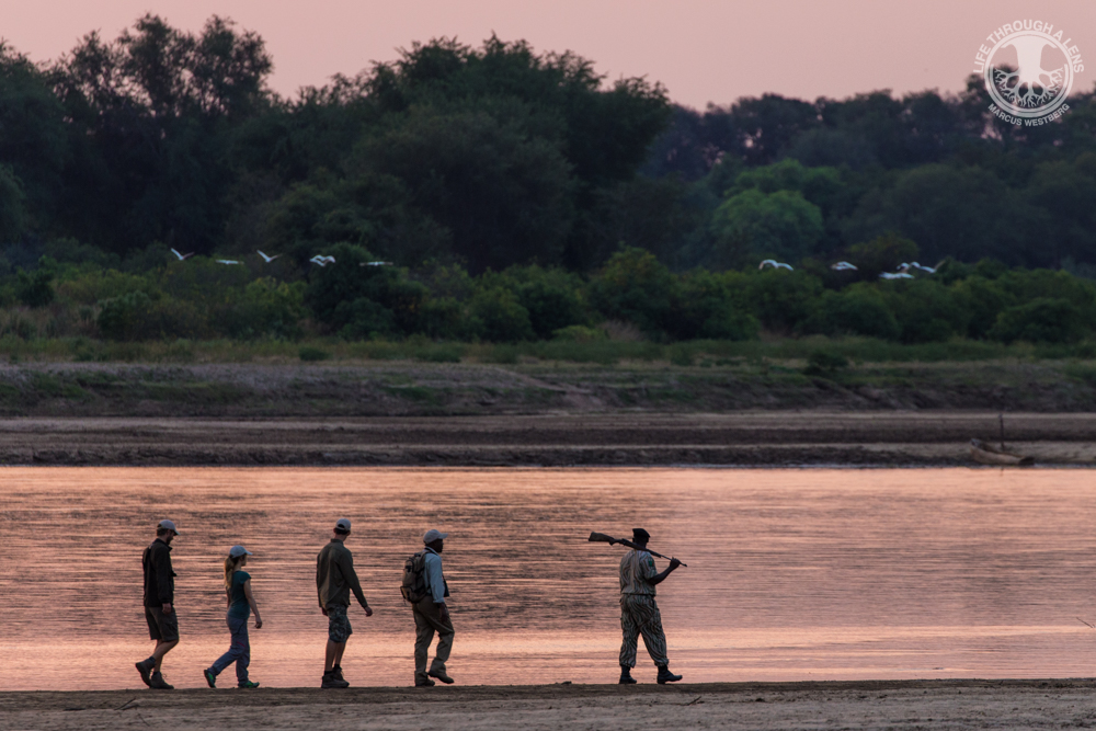 Luambe Camp Walking Safari Luangwa River
