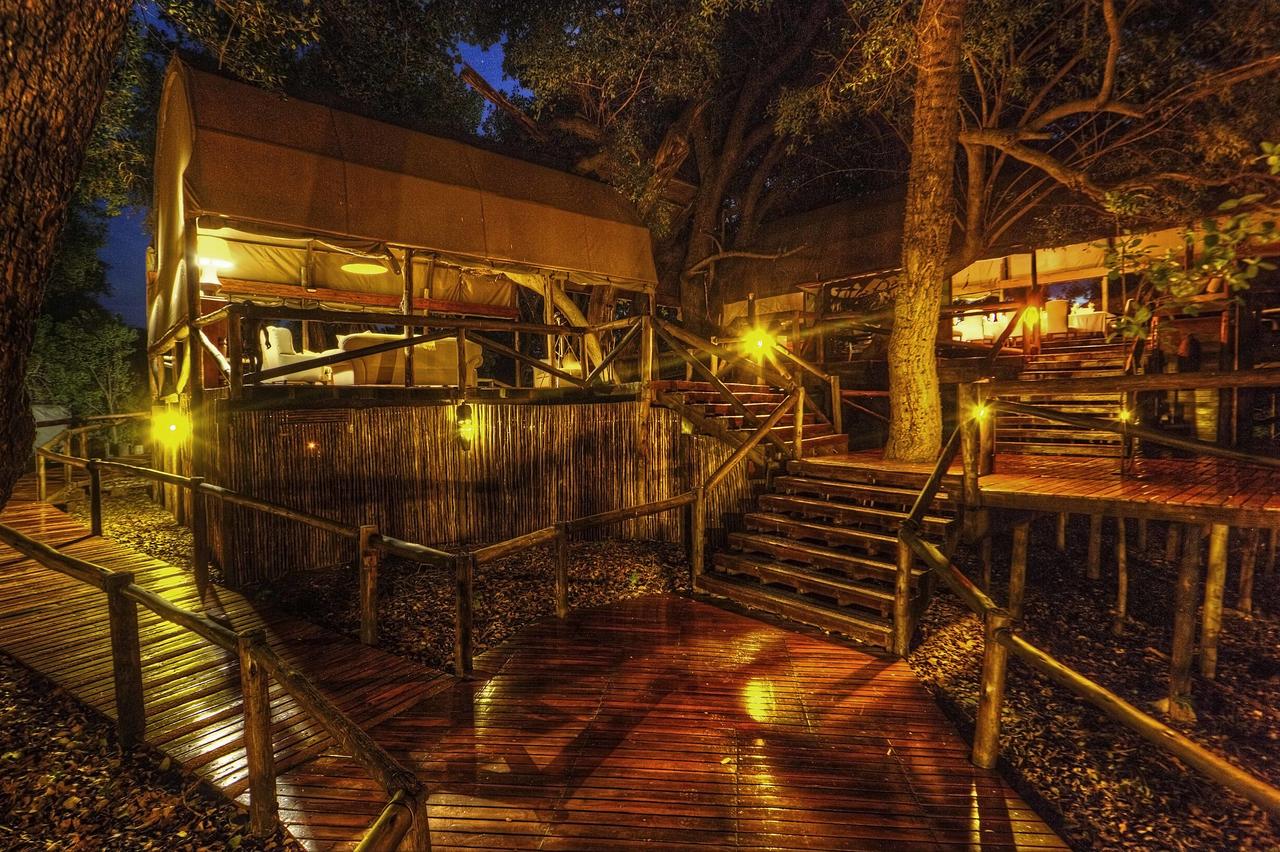 Shinde at night