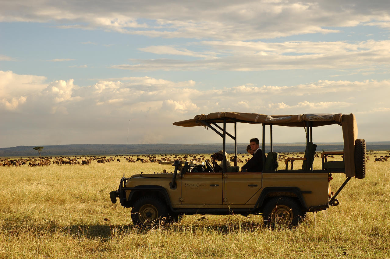 Sayari-Camp-Game-drive-wildebeest