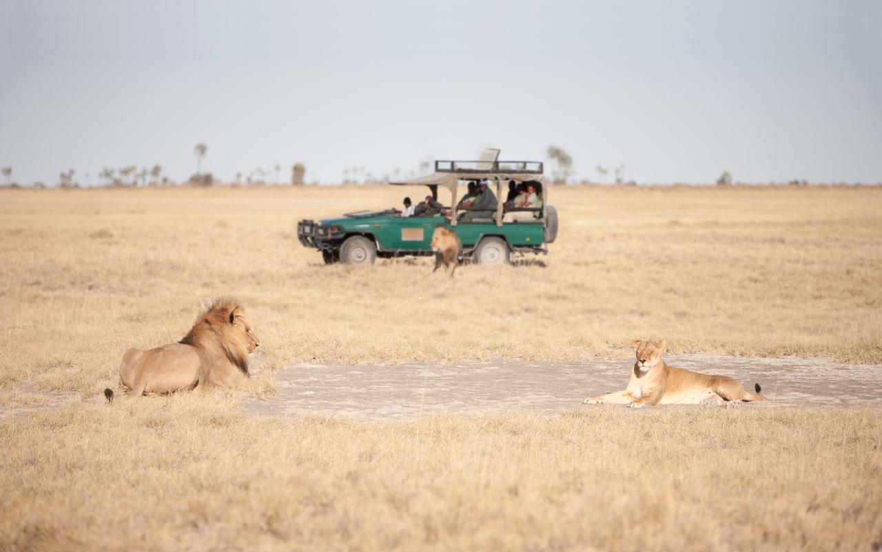 game_drive_2