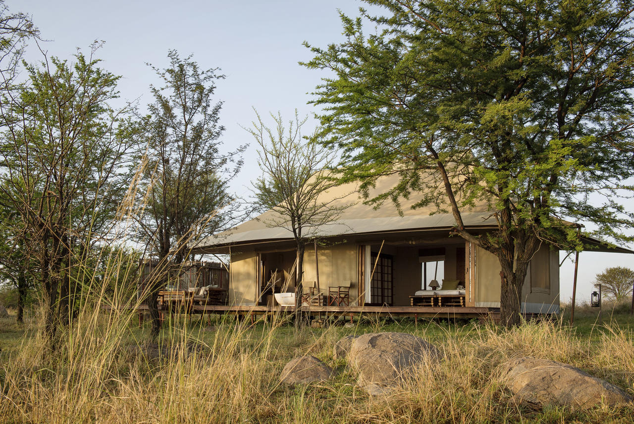 sayari-camp-guest-tent-bedroom-exterior-eliza-deacon-mr