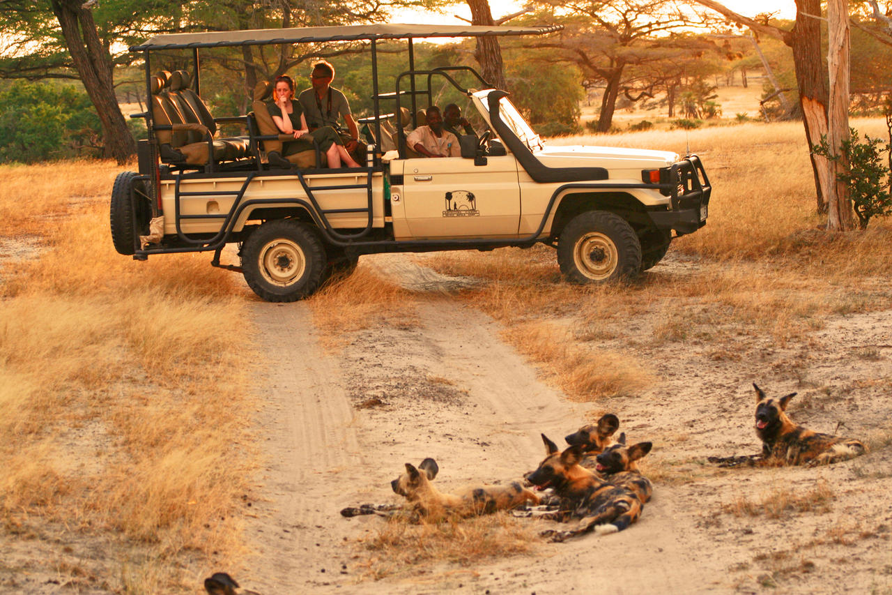 selousimpalagamedrive10