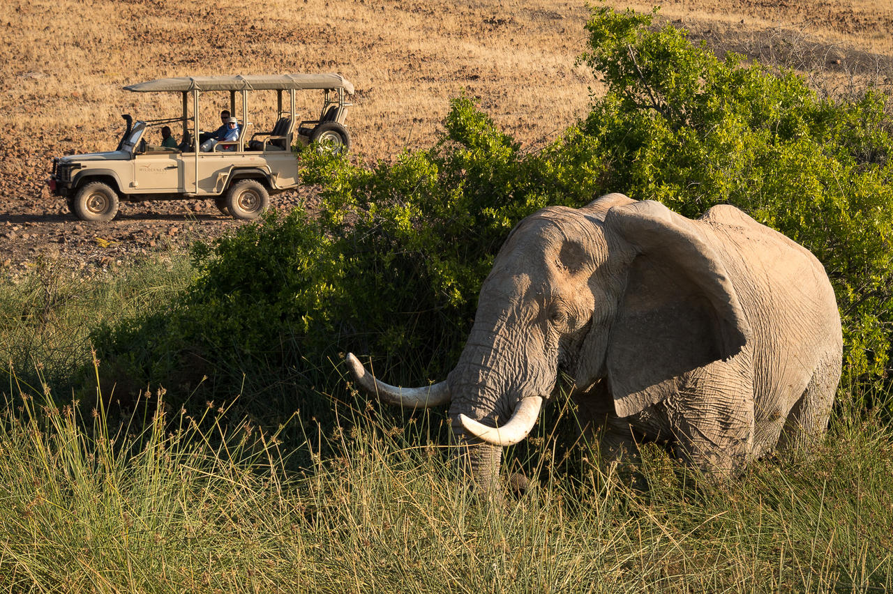desert_rhino_camp_2014-08-80e