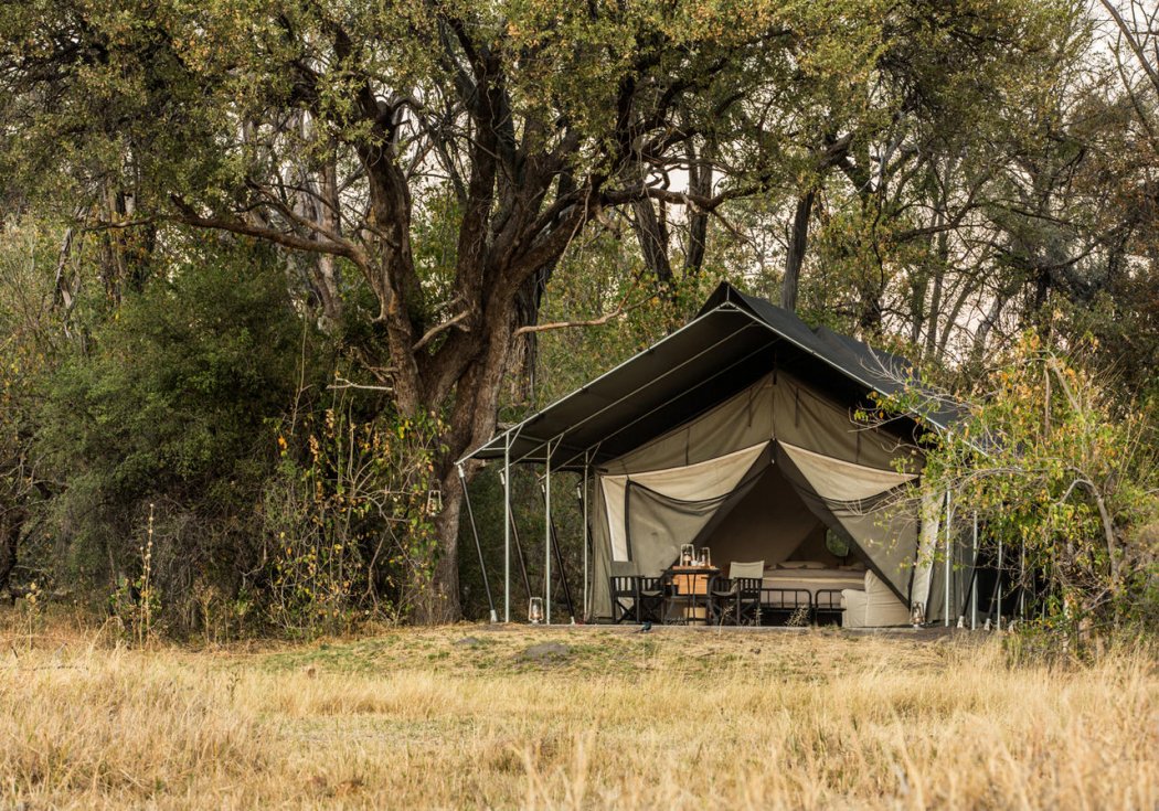 machaba-safaris-machaba-camp-8