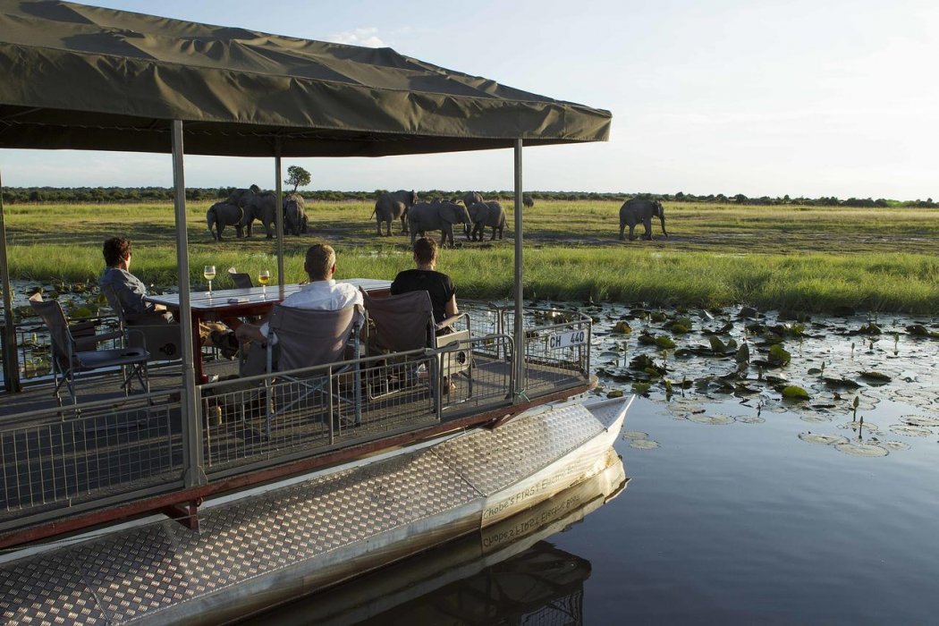 Chobe Game Lodge boateles_cgl_12348