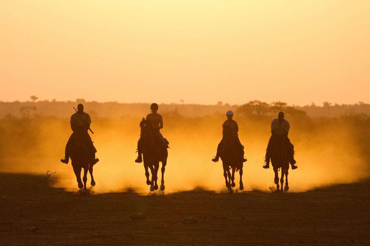 Horse Safari - Riders at Sunset