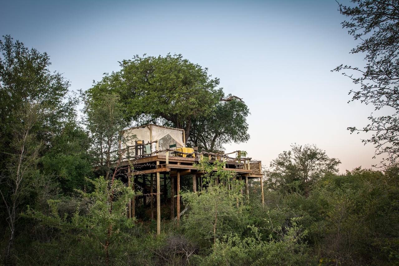 Little garonga-7940