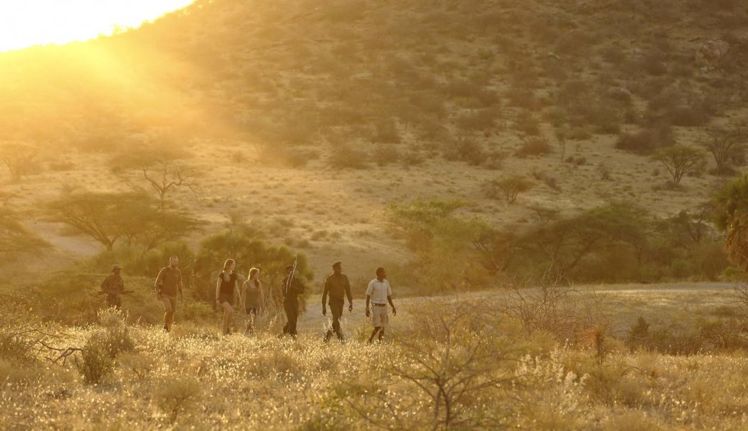 Saruni Rhino black_rhino_tracking_in_seras_rhino_sanctuary