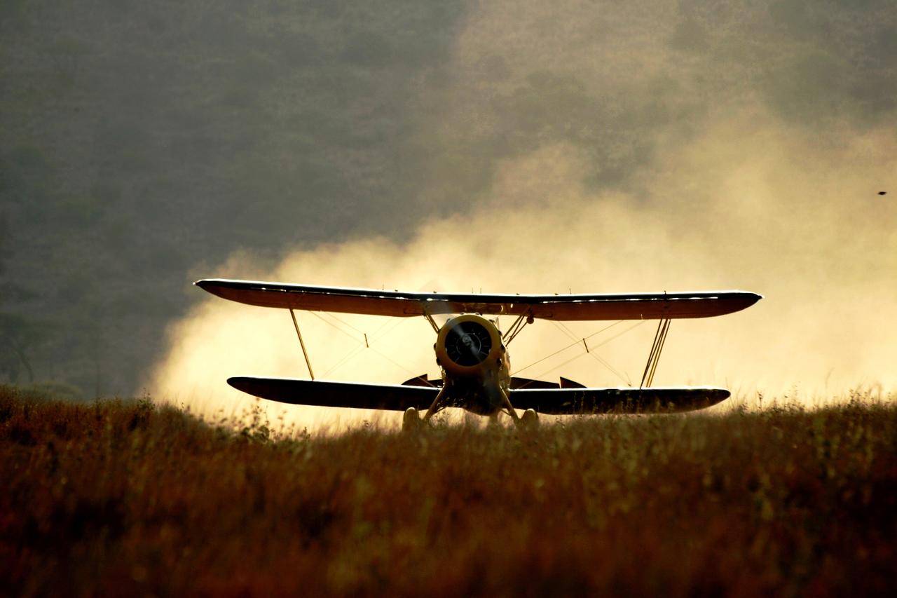 Lewa Wilderness - Plane landing