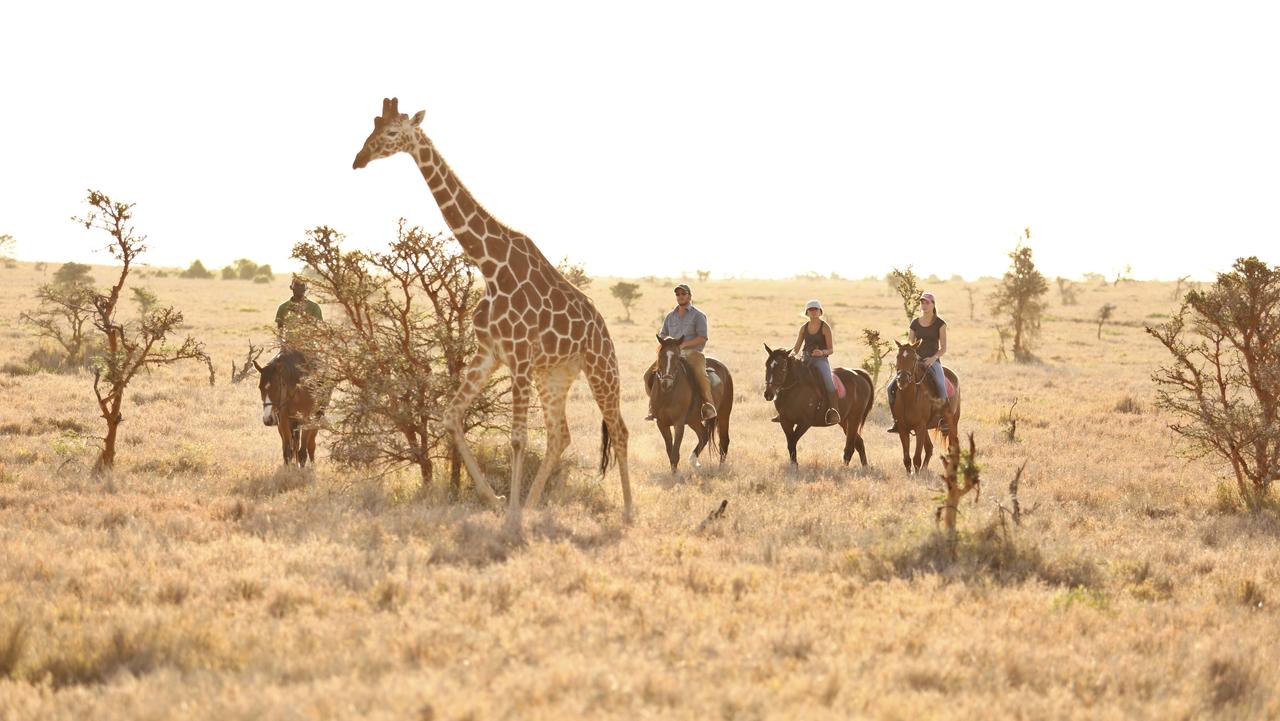 lewa_wilderness_2017-129.1