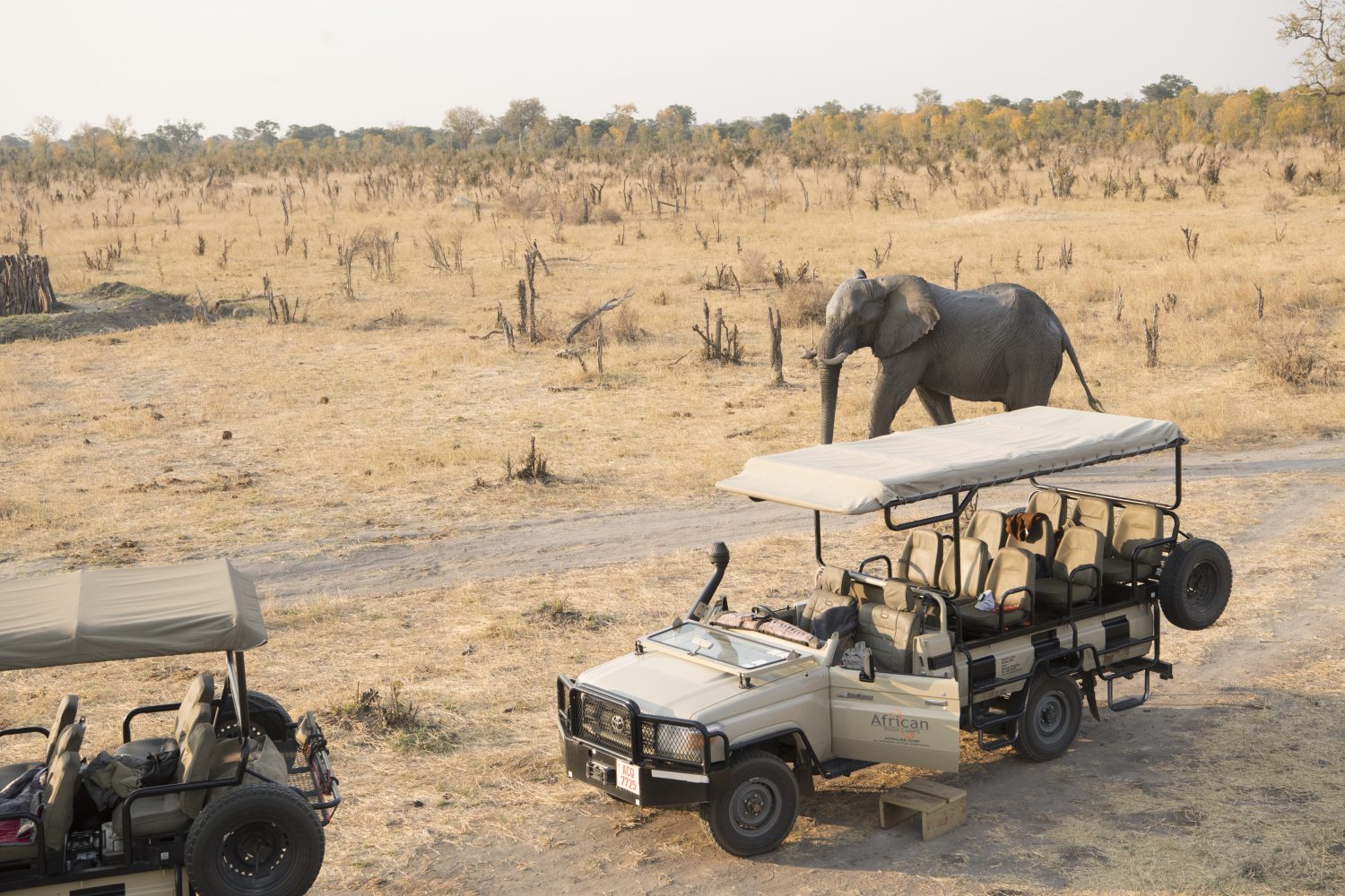 somalisa_camp_hwange_national_park_zimbabwe_elephant___5sw0028_181