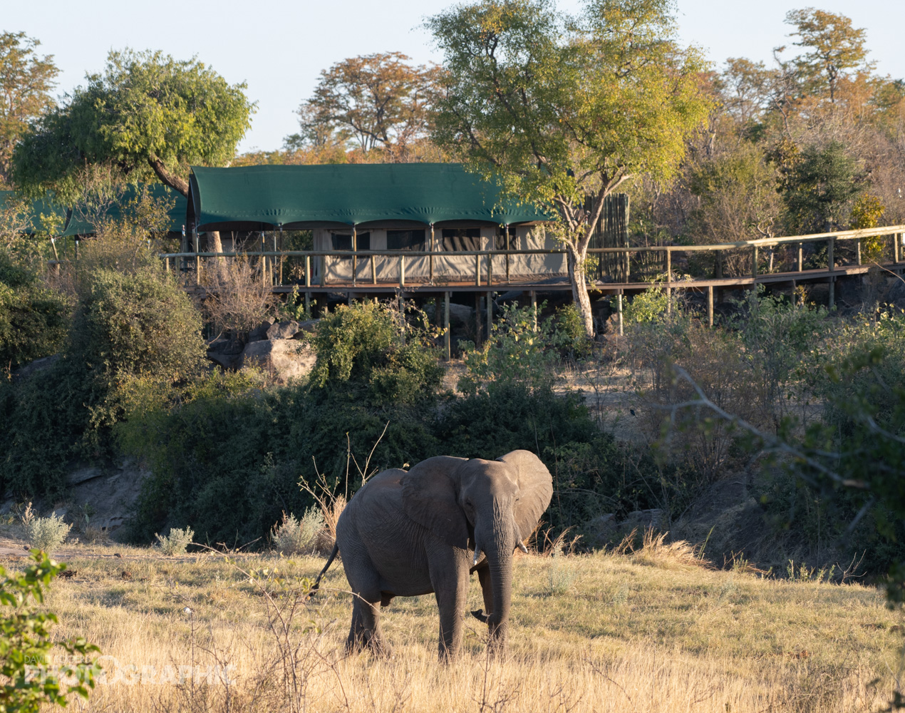 Deteema201907_zimbabwe_21912