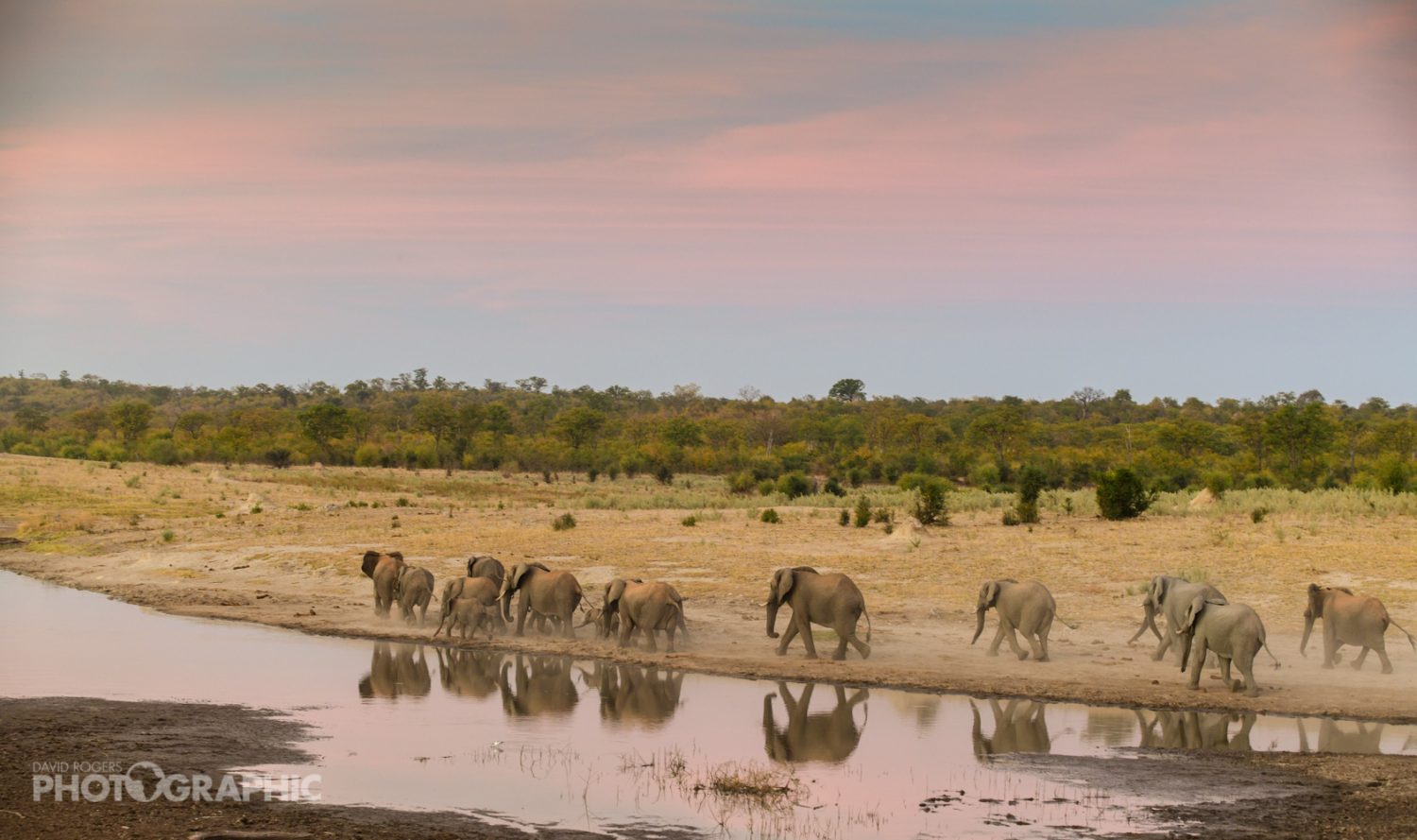 Deteema201907_zimbabwe_2631
